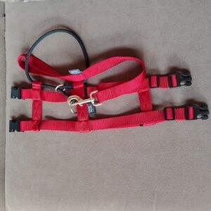 Cesar Milan Red Collar &Leash Set